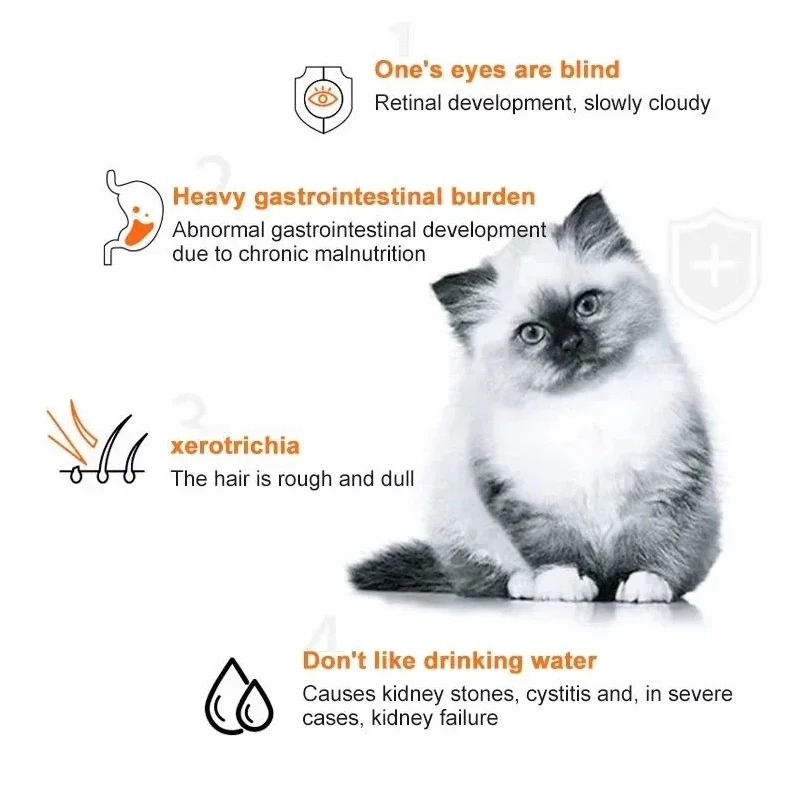 10pcs Cat Strips Pet Snacks Va – Snacks Food Labels recenzja i cena