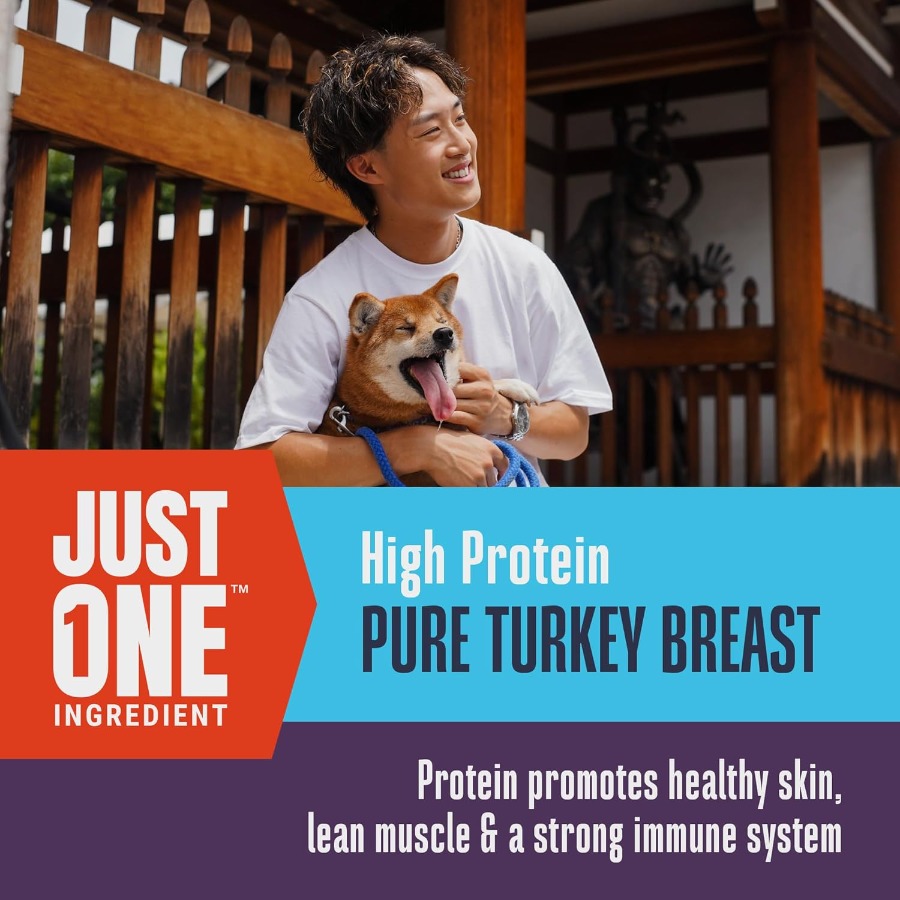 Whole Life Dog Just One Turkey – Food Protein Snacks recenzja i cena