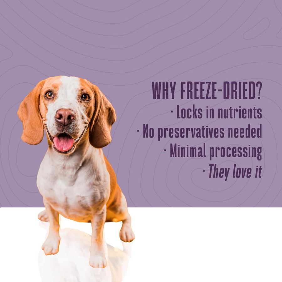 Whole Life Dog Just One Turkey – Food Protein Snacks recenzja i cena