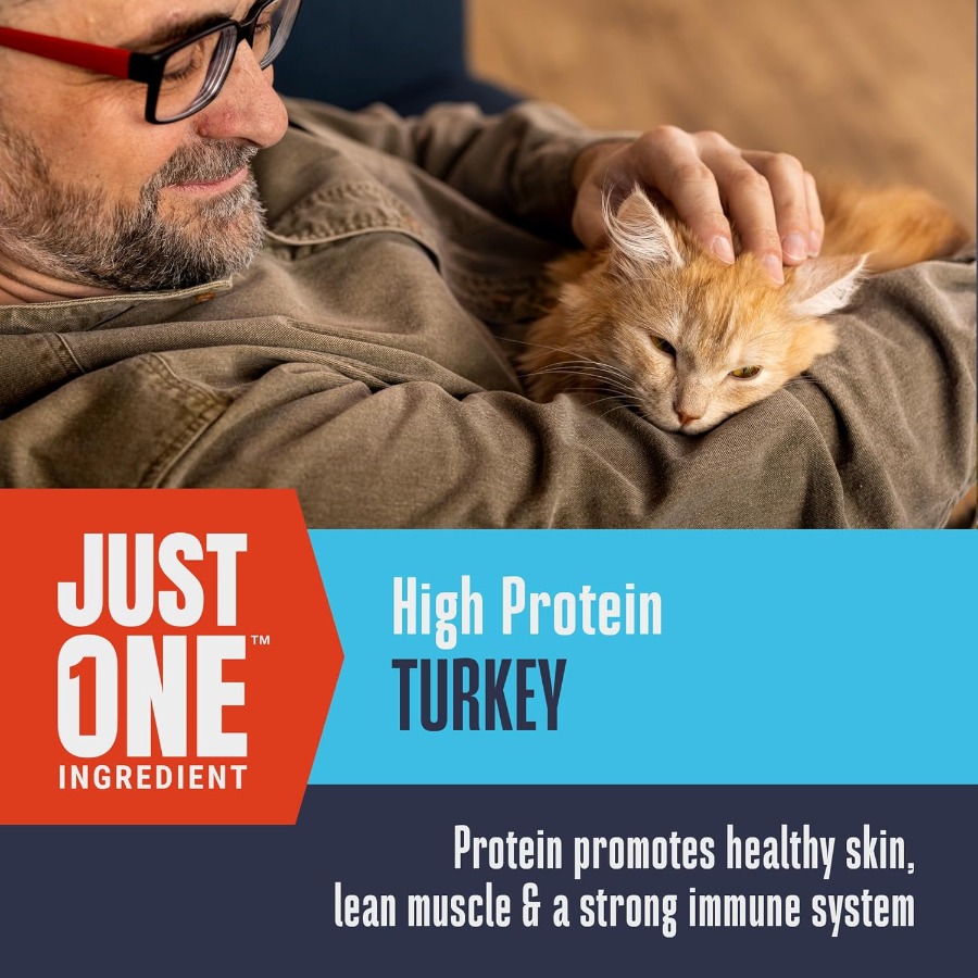 Whole Life Cat Just One Turkey – Food Protein Snacks recenzja i cena