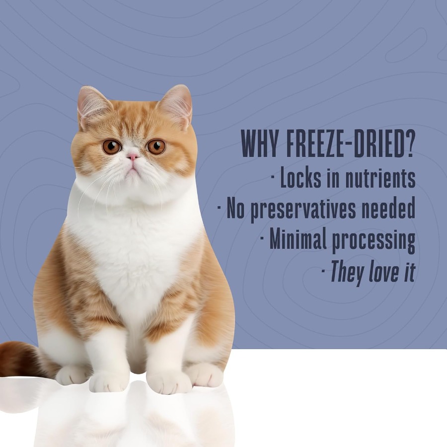 Whole Life Cat Just One Turkey – Food Protein Snacks recenzja i cena