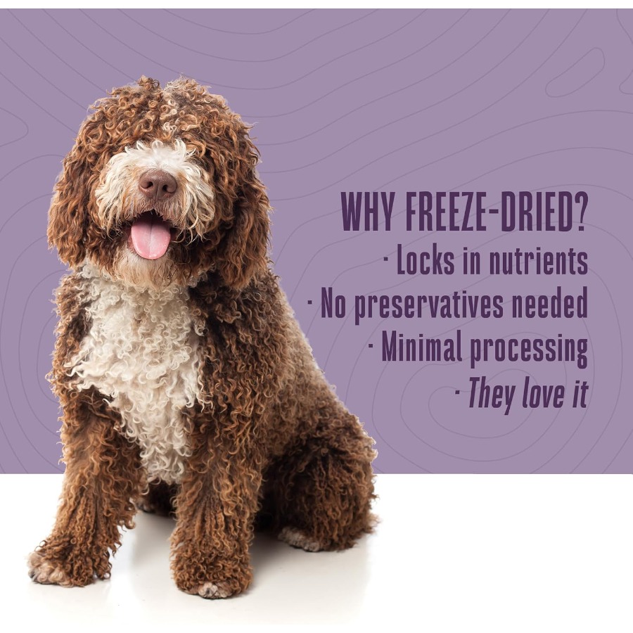 Whole Life Dog Just One Chicke – Food Protein Snacks recenzja i cena